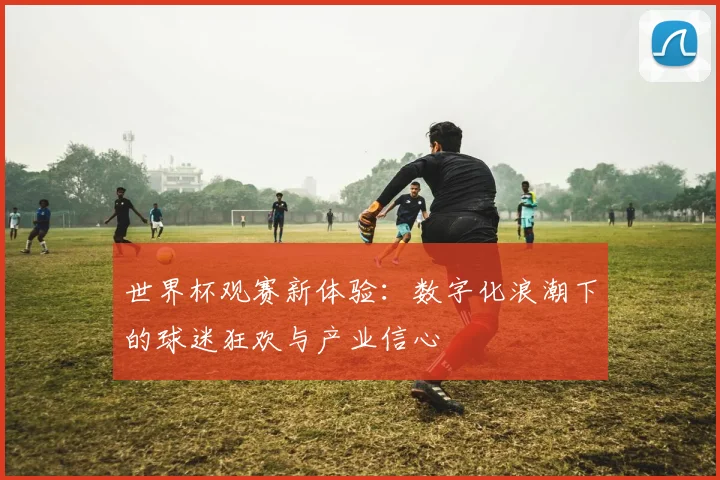 世界杯观赛新体验：数字化浪潮下的球迷狂欢与产业信心