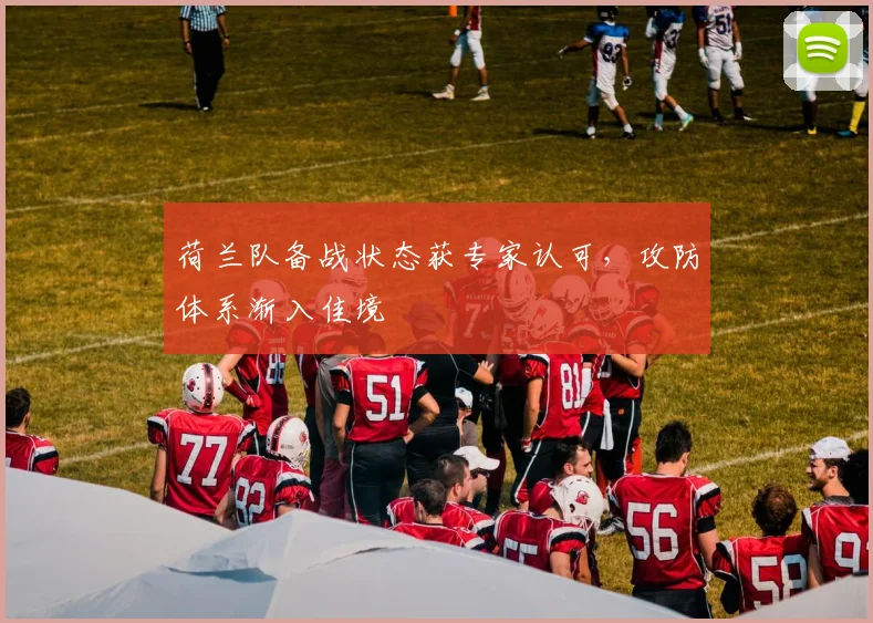 荷兰队备战状态获专家认可,攻防体系渐入佳境