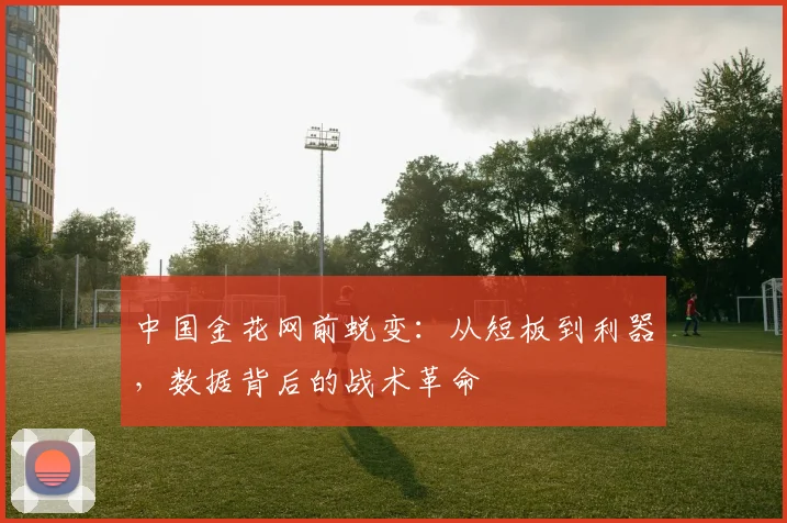 中国金花网前蜕变:从短板到利器,数据背后的战术革命