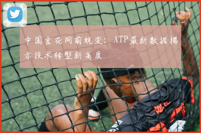 中国金花网前蜕变：ATP最新数据揭示技术转型新高度