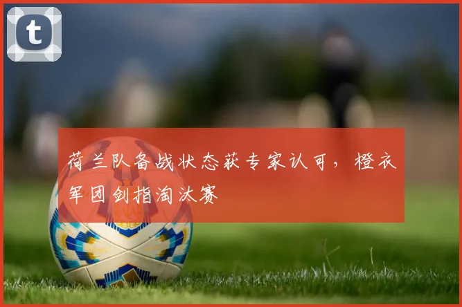 荷兰队备战状态获专家认可,橙衣军团剑指淘汰赛