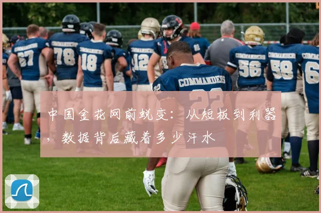 中国金花网前蜕变:从短板到利器,数据背后藏着多少汗水