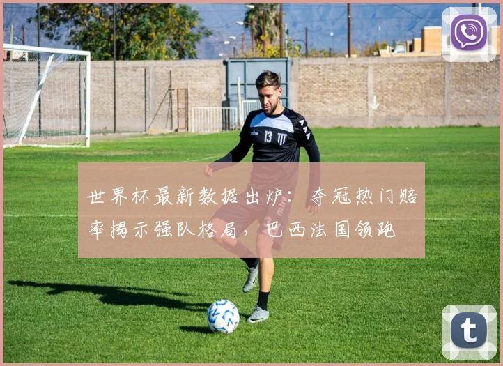 世界杯最新数据出炉:夺冠热门赔率揭示强队格局,巴西法国领跑