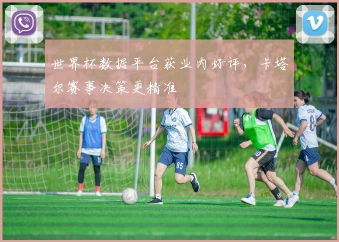 世界杯数据平台获业内好评,卡塔尔赛事决策更精准