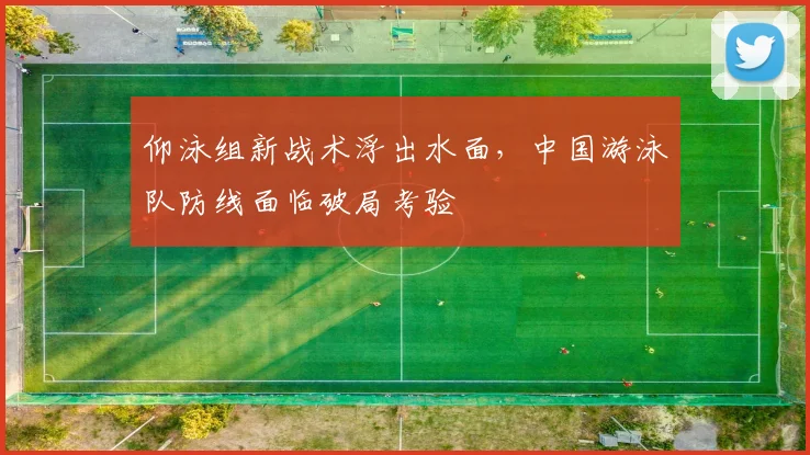 仰泳组新战术浮出水面，中国游泳队防线面临破局考验